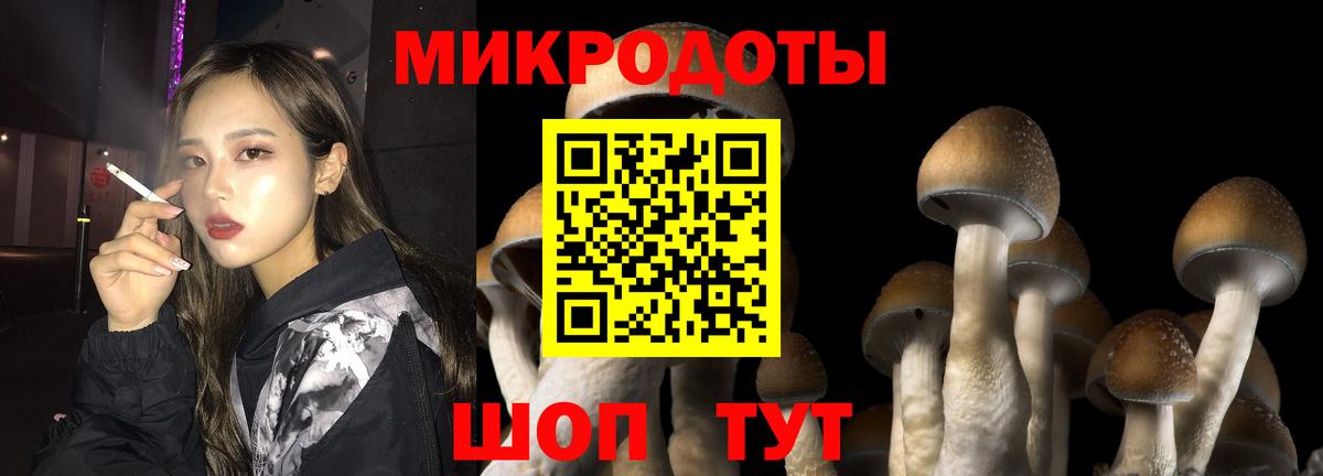 Галлюциногенные грибы Psilocybe  Вход с VPN  Сосновоборск 